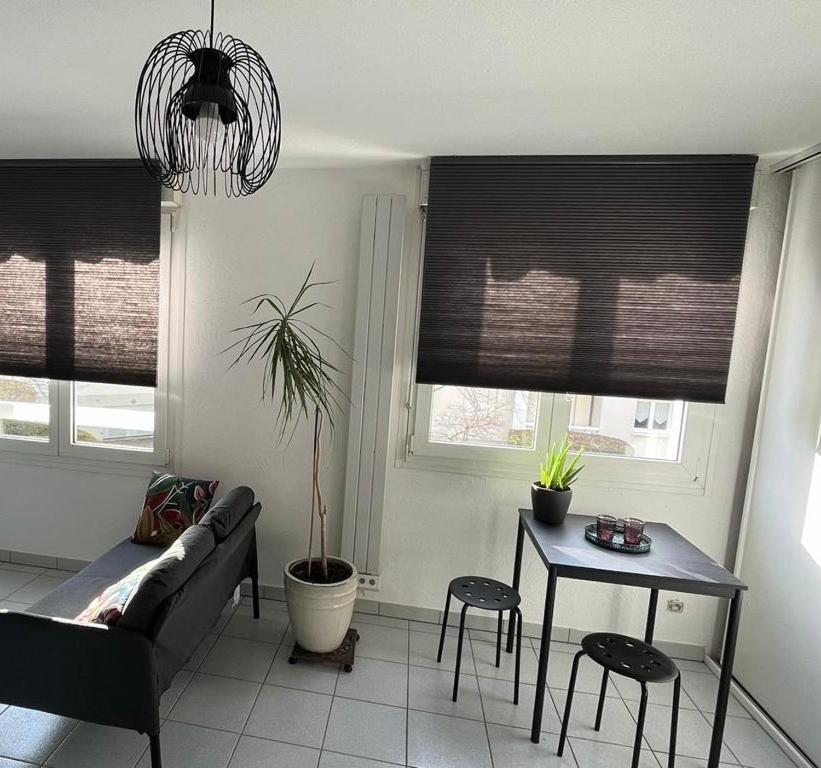Zen-Itude Lägenhet Strasbourg Exteriör bild